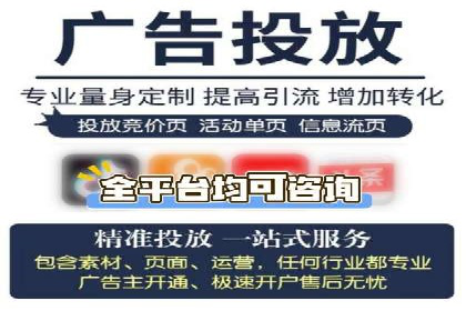 SEM服务公司成功案例解读